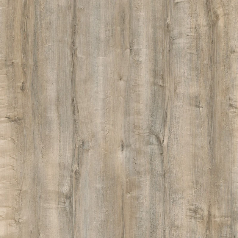 XL1002-23